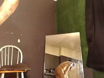Chaturbate Best Webcam of bigpussypump