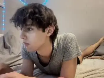Chaturbate Free Porn Cam of roma_shyguy_