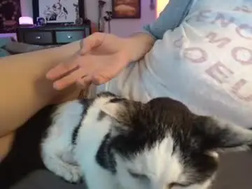 Chaturbate Best live sex cam show of catnips_cabaret