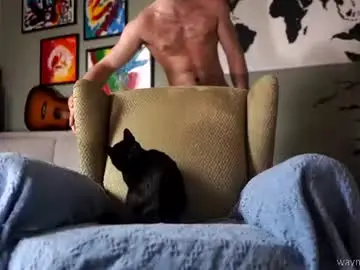 Chaturbate Live Porn of waynenorth