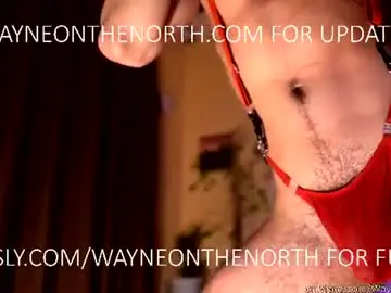 Chaturbate Free Porn Cam of waynenorth
