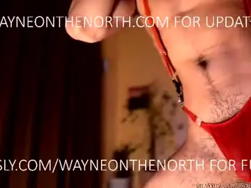 Chaturbate Adult Video Chat of waynenorth
