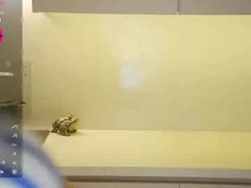 Chaturbate Adult Webcam of vasillisa