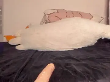 Chaturbate Free Porn Cam of neiljungg