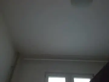 Chaturbate Adult Webcams of bigjames_chicago