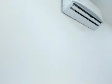 Chaturbate Best Webcam of gracecartier