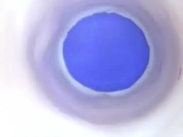 Chaturbate Live Sex of paulainoscente
