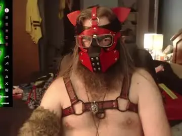 Chaturbate Best Webcam of kinkywolf87