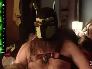 Chaturbate Best Webcam of kinkywolf87