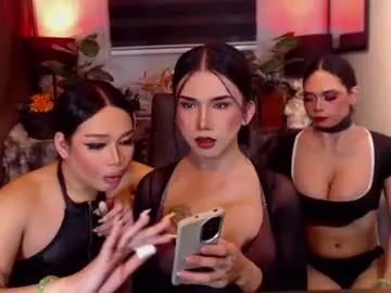 Chaturbate Adult Video Chat of transpornidol