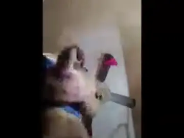 Chaturbate Live Sex Cam of fetishdaddybigd