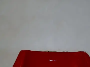 Chaturbate Free Porn Cam of chocolate_ass88