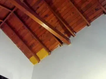 Chaturbate Watch Live Sex Cams of tony_petrov
