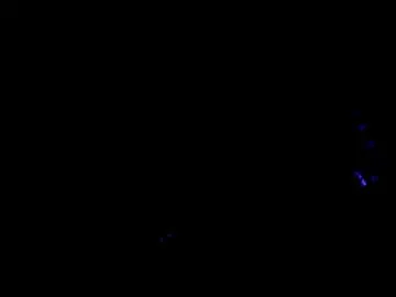 Chaturbate Best Webcam of axell_cross2