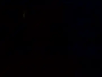 Chaturbate Live Sex of papabearbackdoor