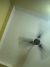 Dscgirls Best live sex cam show of Selenaa selenaa