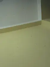 Dscgirls Free Porn Cam of Selenaa selenaa