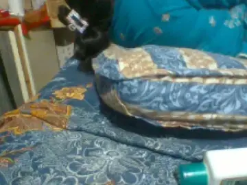 Dscgirls Live Sex Cam of Lajja