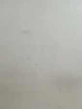 Dscgirls Private Sex Chat of rubi_sharma