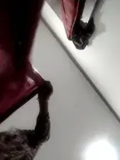 Dscgirls Free Live Porn of Sabita Mishra