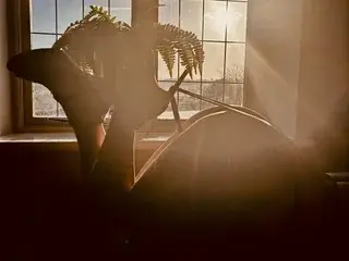 Streamate Private Sex Chat of KatieCarterX