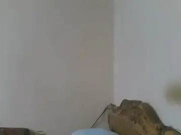 Stripchat Best live sex cam show of elpoop7305