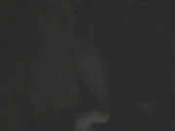 Stripchat Free Live Porn of HoggedSurfeit
