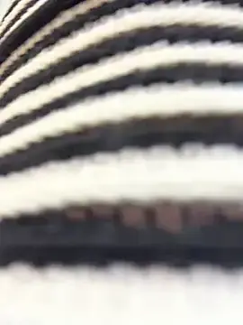 Stripchat Watch Live Sex Cams of nide-laoshi