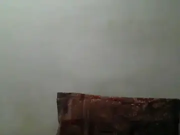Stripchat Adult Webcam of Foxboy65