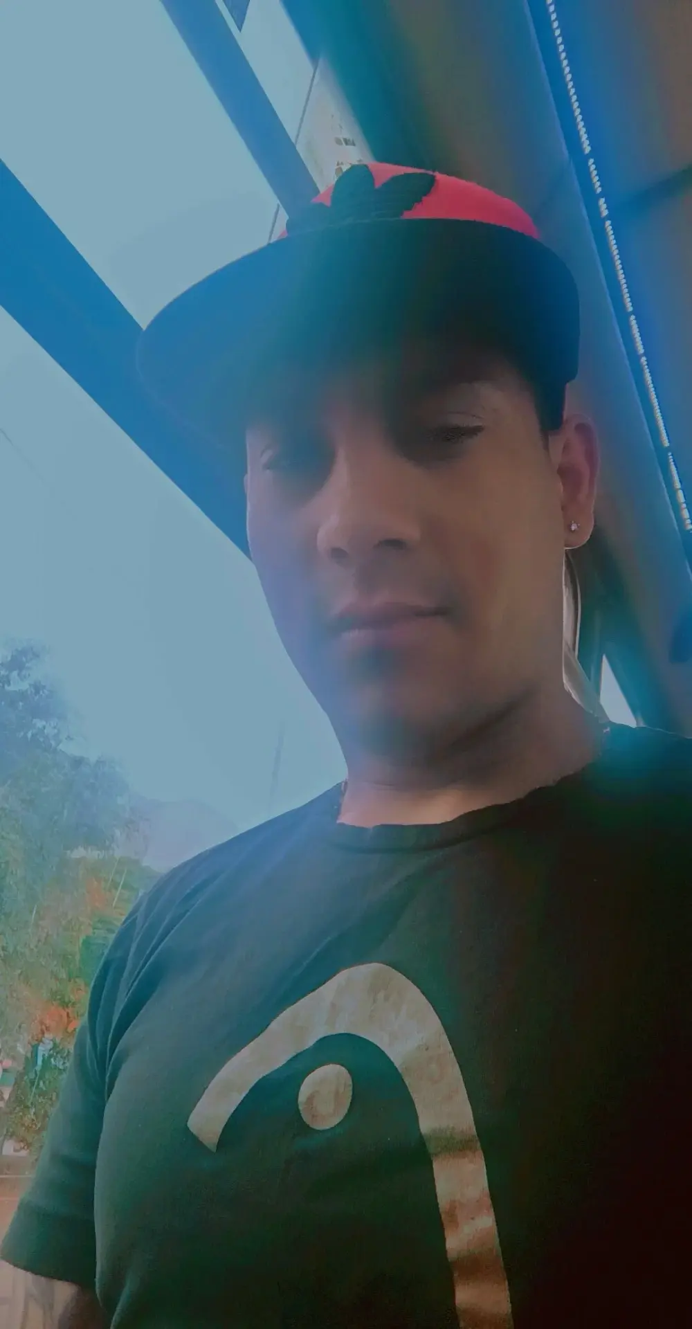 Petterleonel123