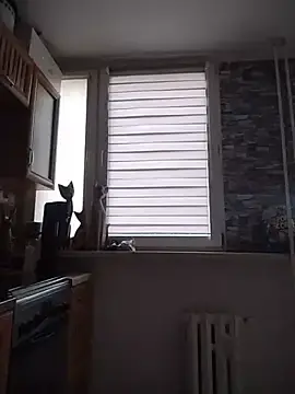 Stripchat Adult Webcam of wilkalfa