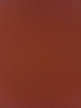 Stripchat Private Sex Chat of criscrispdv