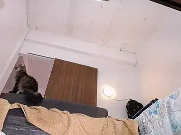 Stripchat Live Sex of yselahot