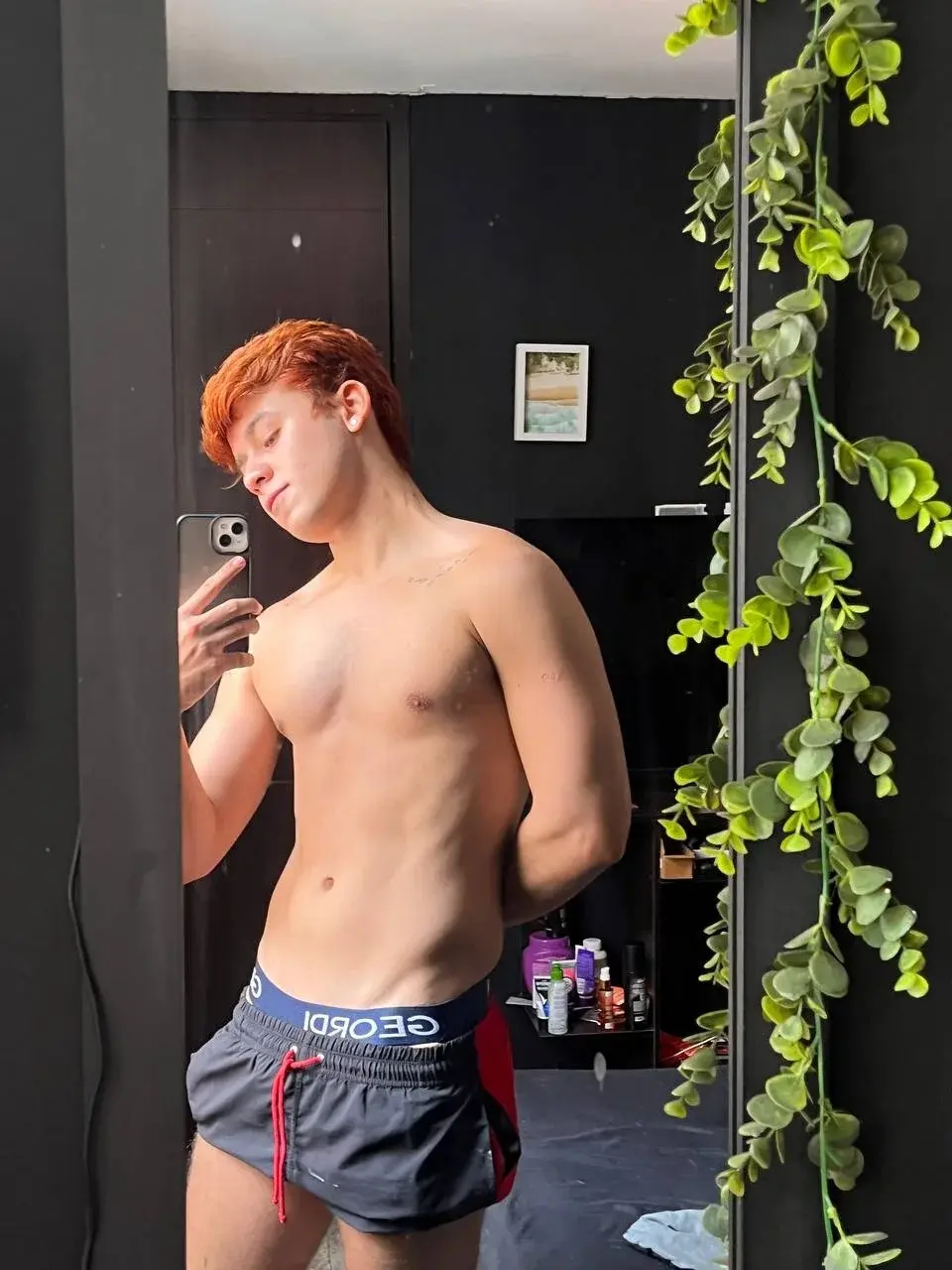 Gingertwink_n