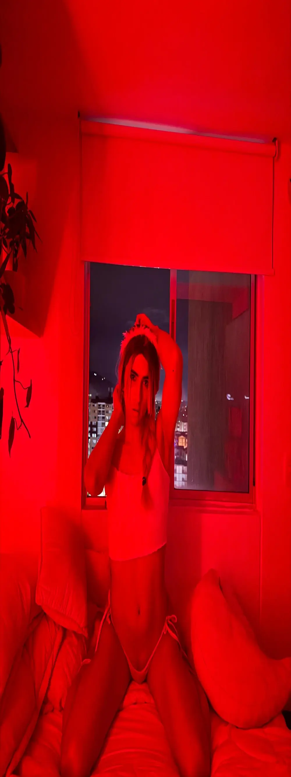 isa_fox_23