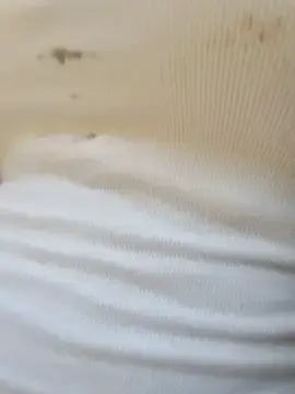 Stripchat Free Porn Cam of Belle_hi