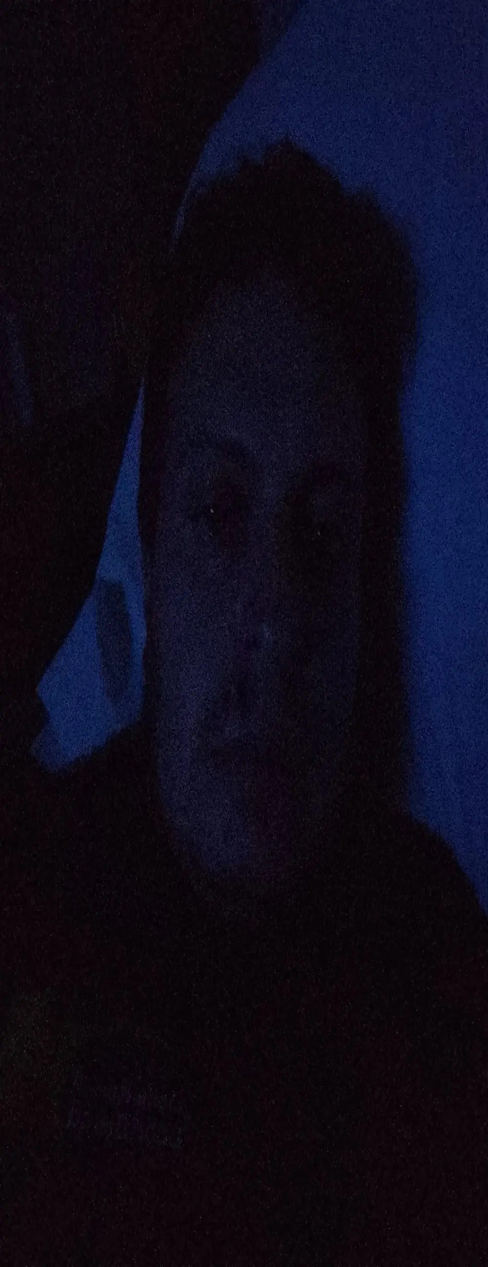 Luca908769