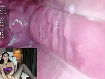 Stripchat Adult Webcam of AYW-21