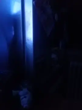 Stripchat Live Porn of hwdpjp71