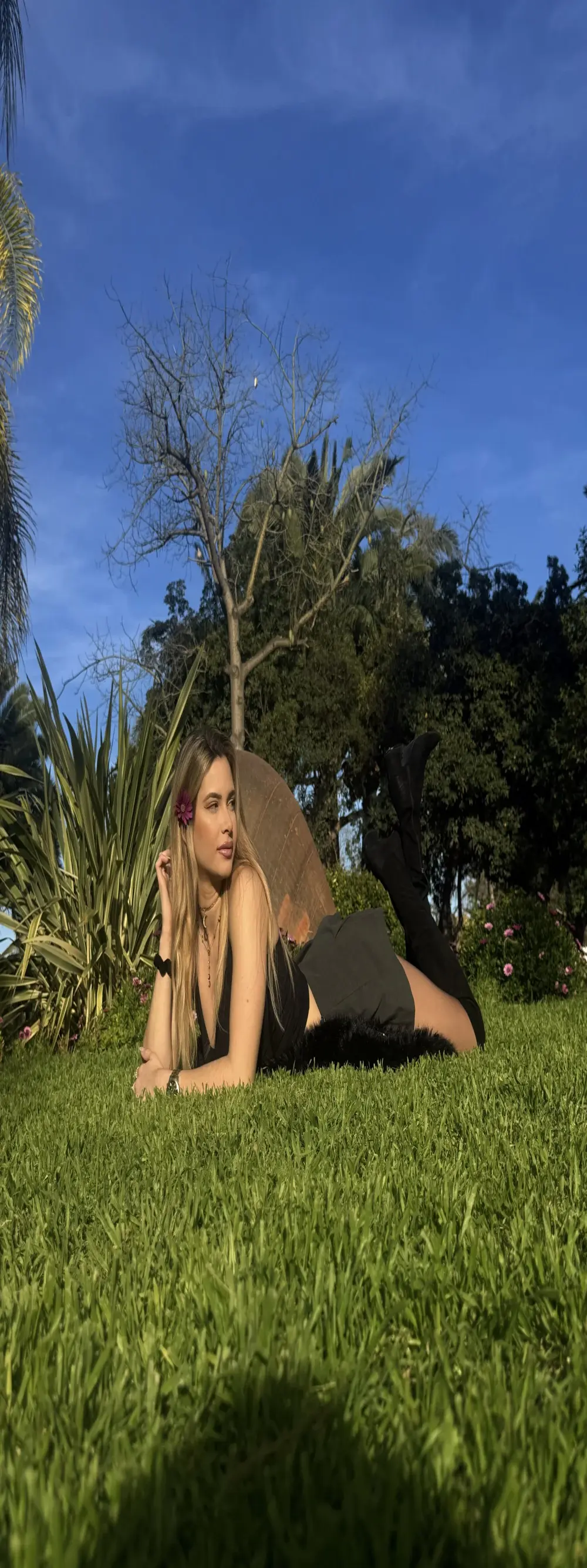 Chiara_Hollis
