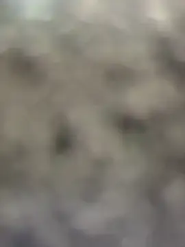 Stripchat Watch Live Sex Cams of AllaTousNew
