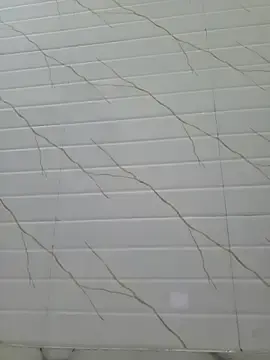 Stripchat Live Porn of lusty_male69