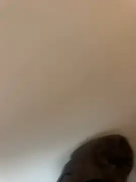 Stripchat Live Sex Cam of MIssJasminDoll