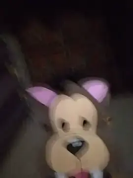 Stripchat Best Webcam of LobinhoXsafdoo