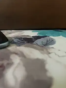 Stripchat Live Porn of Slvbot202