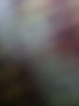 Stripchat Sex Cam of chicopistolarosa