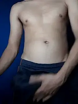 Stripchat Free Porn Cam of NovinhoTopBrasil