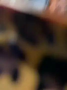 Stripchat Sex Cam of VendiMur