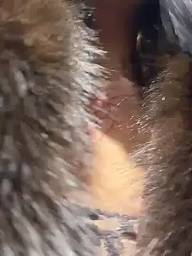 Stripchat Free Porn Cam of VendiMur