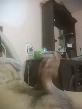 Stripchat Adult Webcam of carloshot31